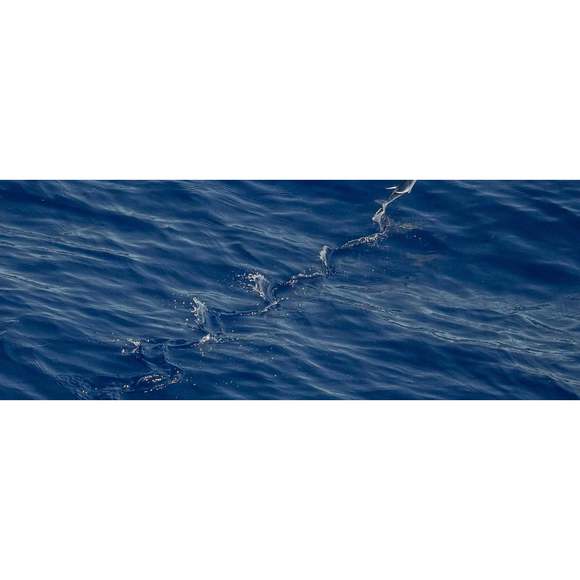 DO NOT BUY: Practical Fresh Bike - Picture 5 of 6